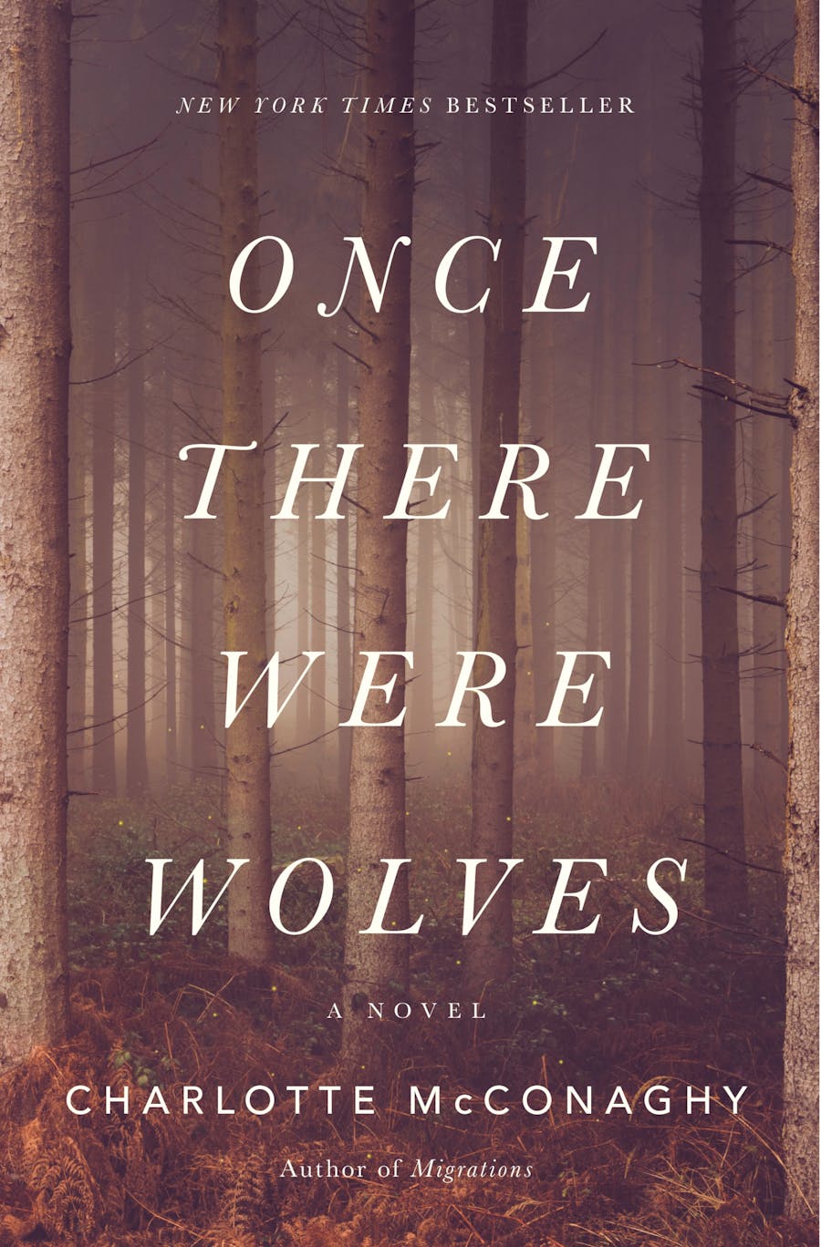 once there were wolves book cover image