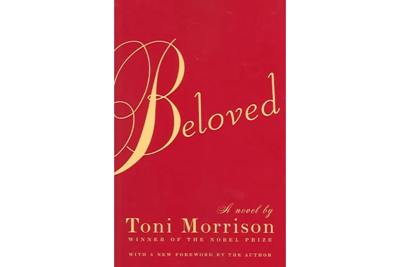 Cover image - the title written in in gold script across a red background