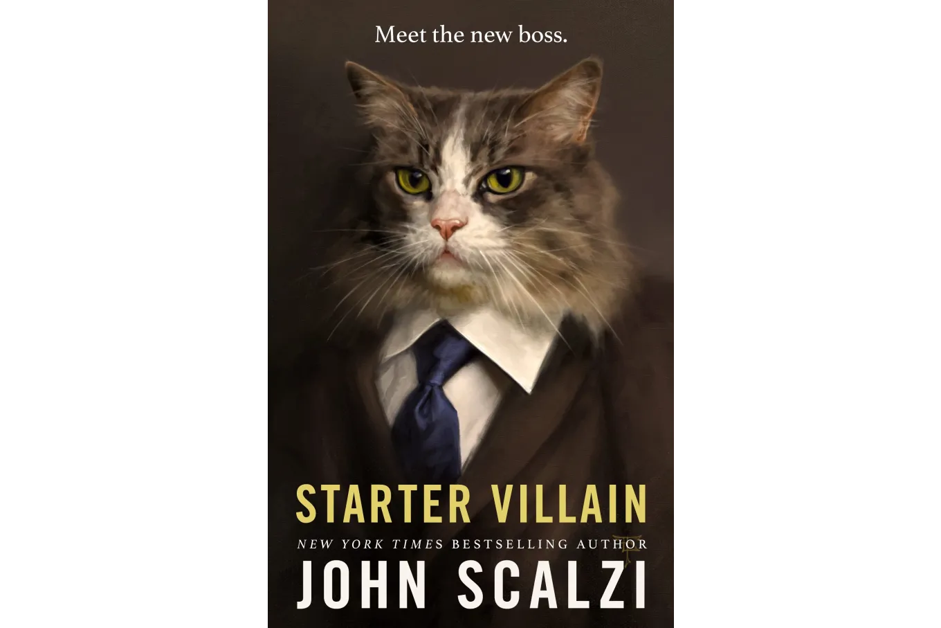 Cover of Starter Villain