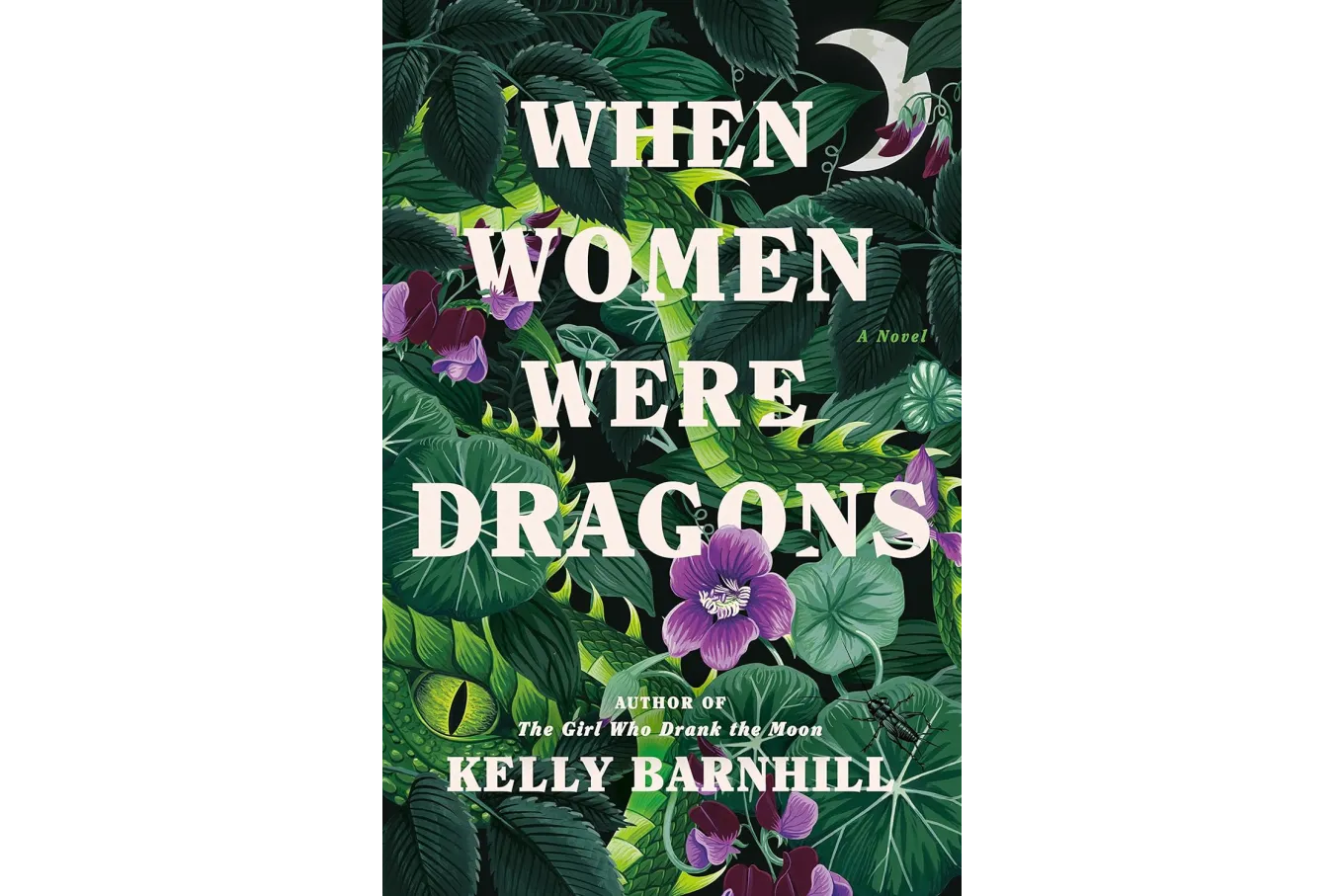 Book Cover When Women Were Dragons