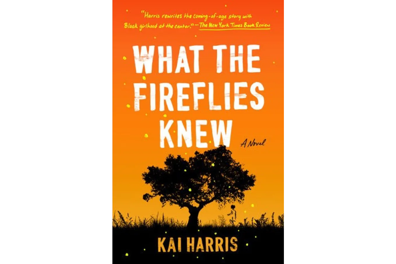 Book Cover What the Fireflies Knew